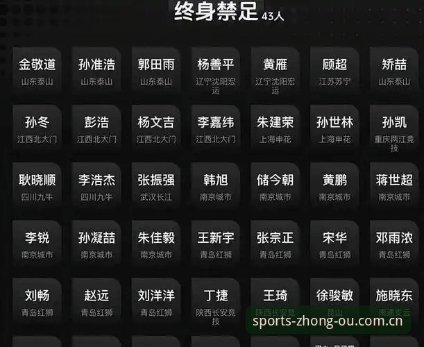 最新中欧体育安卓版 足协第三批禁足名单出炉,中欧体育用户深度解读赛事规范操作教程